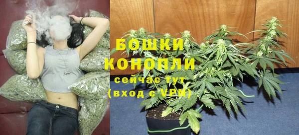 мяу мяу мука Дмитровск