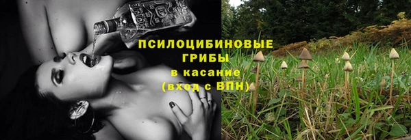 сатива Дмитров