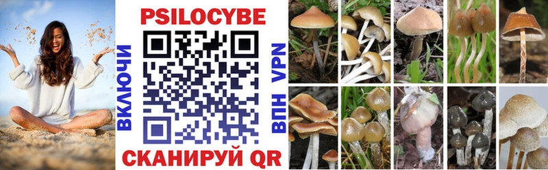 Псилоцибиновые грибы GOLDEN TEACHER  Купить закладки  Канаш 